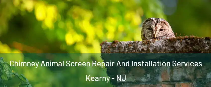  Chimney Animal Screen Repair And Installation Services Kearny - NJ