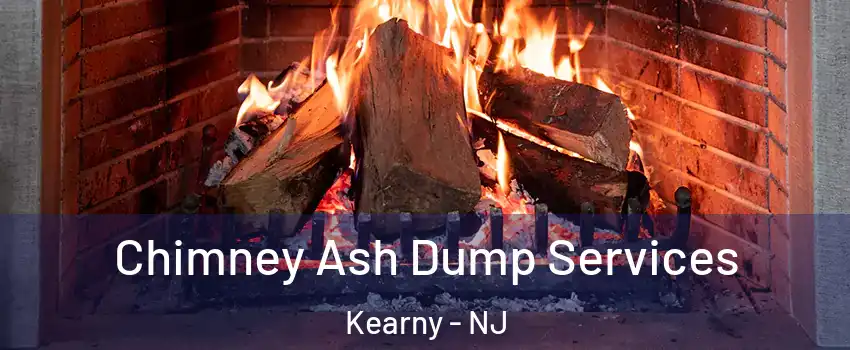  Chimney Ash Dump Services Kearny - NJ