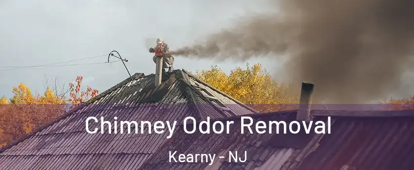  Chimney Odor Removal Kearny - NJ