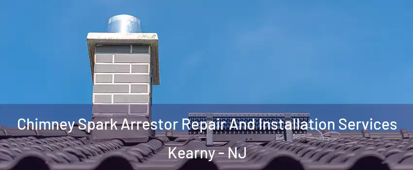  Chimney Spark Arrestor Repair And Installation Services Kearny - NJ