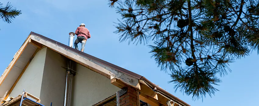 Birds Removal Contractors from Chimney in Kearny, NJ