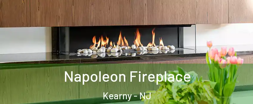  Napoleon Fireplace Kearny - NJ