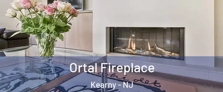 Ortal Fireplace Kearny - NJ