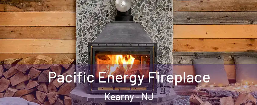  Pacific Energy Fireplace Kearny - NJ